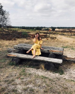 Shelley Vol 4